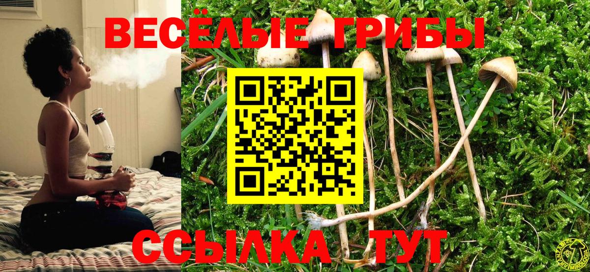 Касимов  Галлюциногенные грибы Psilocybe  Галлюциногенные грибы MAGIC MUSHROOMS  Вход с VPN 