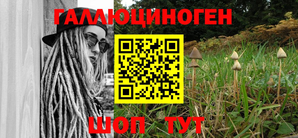 Псилоцибиновые грибы мухоморы Касимов